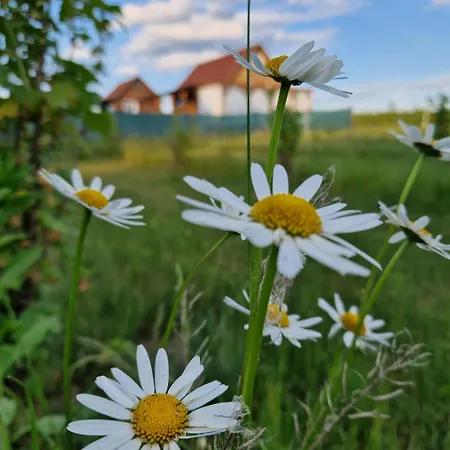 Zaplecze Lasu Holiday home