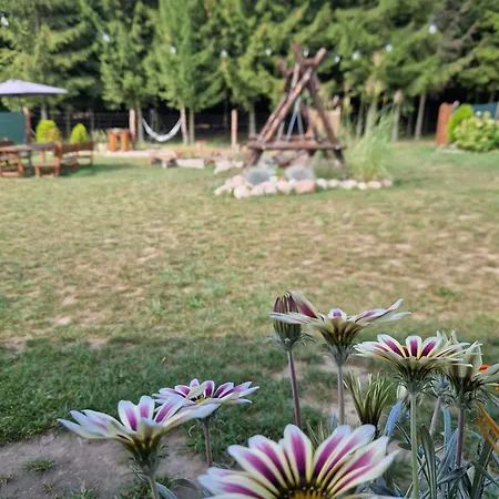 Holiday home Zaplecze Lasu