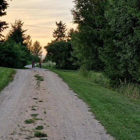Zaplecze Lasu Kleszczewo (Gizycko)